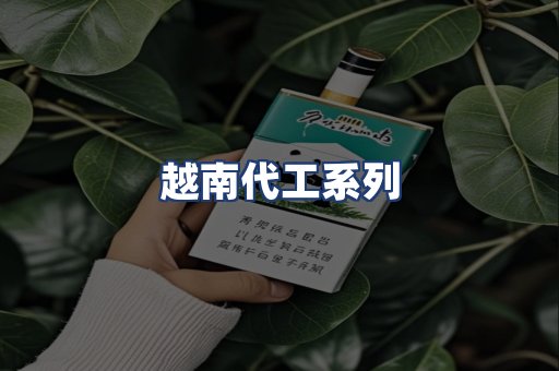 越南代工系列